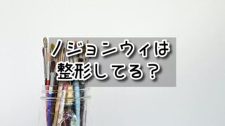 ノジョンウィは痩せすぎ？整形orダイエット？昔の写真と現在の顔で変わってる箇所も調査！