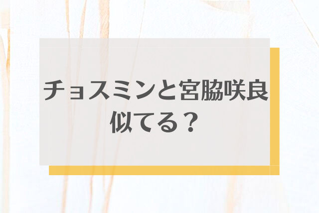 チョスミン　宮脇咲良