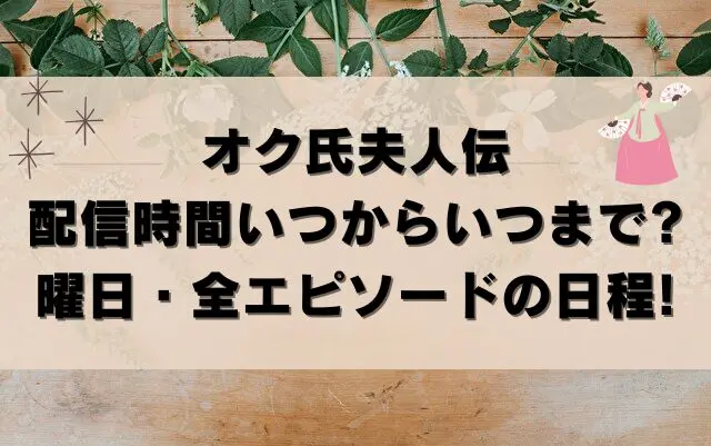 オク氏夫人伝　配信時間