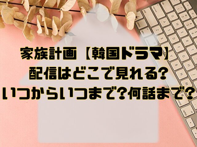 家族計画　韓国ドラマ　どこで見れる