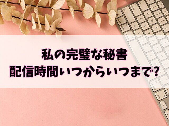 私の完璧な秘書　配信時間