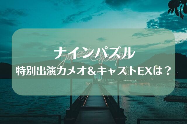 ナインパズル カメオ 特別出演