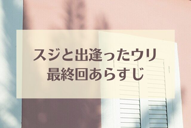 スジと出逢ったウリ　最終回