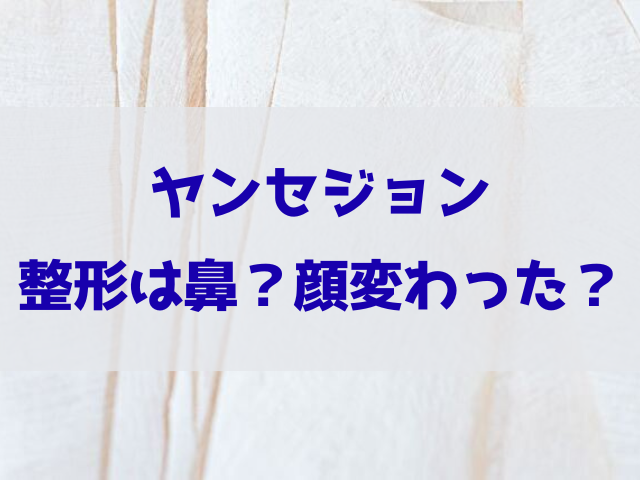 ヤンセジョン　整形