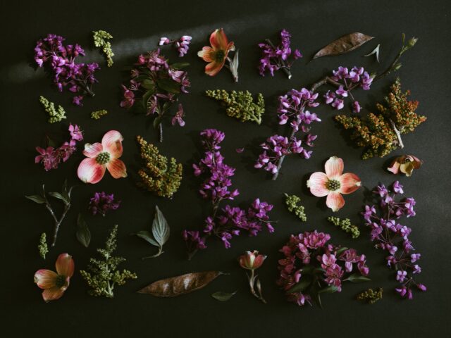 裏切りの花束をあなたに 最終回