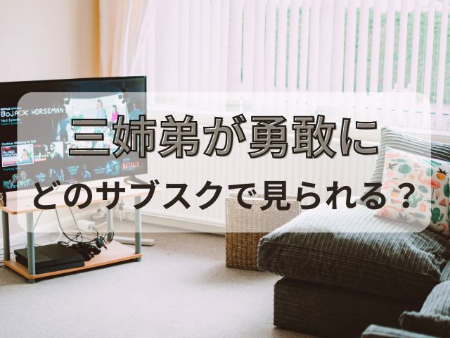 三姉弟が勇敢に　最終回　感想