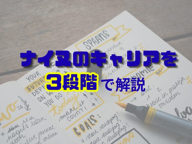 ナイヌ　出演　ドラマ